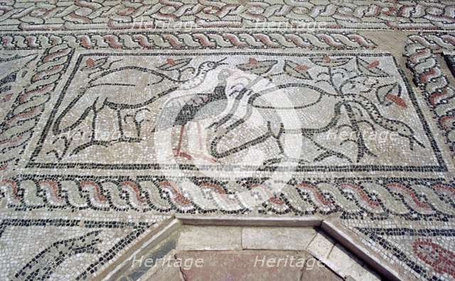Mosaic, ruins of the Roman town of Stobi, Gradsko, Macedonia.