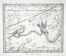 The Constellations (Plate XXVII) Hydra Continua, Crater, Covus, Centaurus et Lupus, 1822.