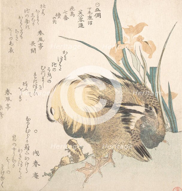 Pair of Mandarin Ducks and Iris Flowers, late 18th-early 19th century. Creator: Kubo Shunman.