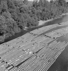 Log rafts on the Williamette River between Salem and Independence, Oregon, 1939. Creator: Dorothea Lange.