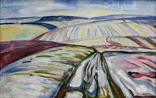 Field in Snow, 1907. Creator: Munch; Edvard (1863-1944).