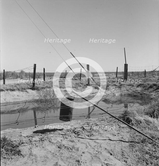 Water supply, California squatter camp near Calipatria, California, 1937. Creator: Dorothea Lange.