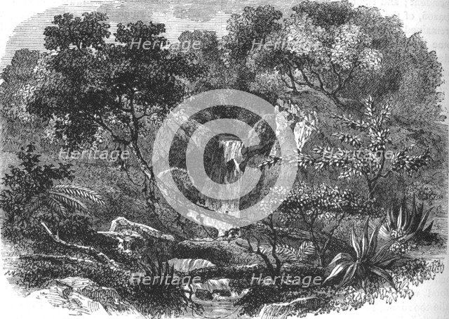 'New Zealand Landscape', c1880. Artist: Unknown.