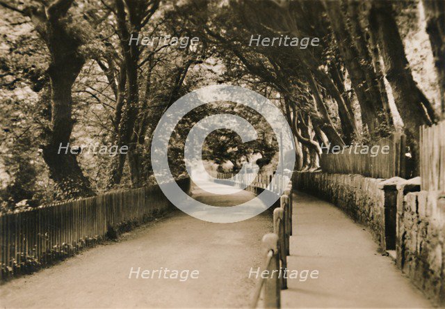 'Chine Avenue, Shanklin, I.W.', c1920. Creator: Unknown.