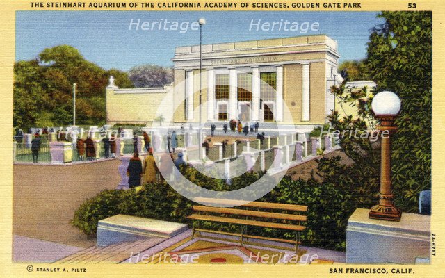 Steinhart Aquarium of the California Academy of Sciences, San Francisco, California, USA, 1932. Artist: Unknown