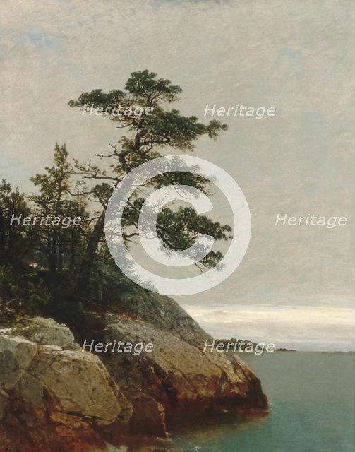 The Old Pine, Darien, Connecticut, 1872. Creator: John Frederick Kensett.