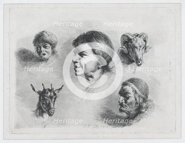 Study of Five Heads, 1803. Creator: Jean-Jacques de Boissieu.