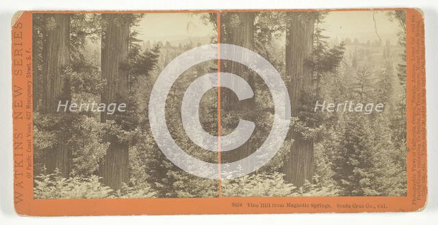 Vine Hill from Magnetic Springs. Santa Cruz Co., Cal., 1878/82. Creator: Carleton Emmons Watkins.