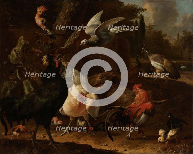 Birds in a Park, 1686. Creator: Melchior d'Hondecoeter.