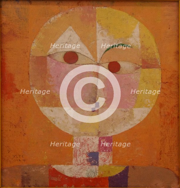 Senecio (Baldgreis).