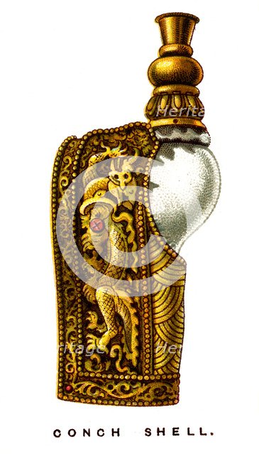 Conch Shell, 1923. Artist: Unknown