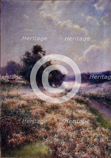 Blooming Meadow, 1906. Artist: Berkos, Mikhail Andreyevich (1861-1919)