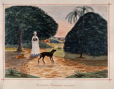 Singapore: a person with dogs in the Botanical Gardens, 1879. Creator: John Edmund Taylor.