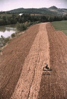 Planting corn along a river in Tennessee, 1940. Creator: Marion Post Wolcott.