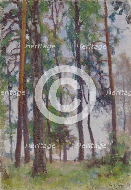 Pines, 1919. Creator: Eero Jarnefelt.