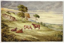 Deer Park, possibly Kilkenny, 1843. Creator: Elizabeth Murray.