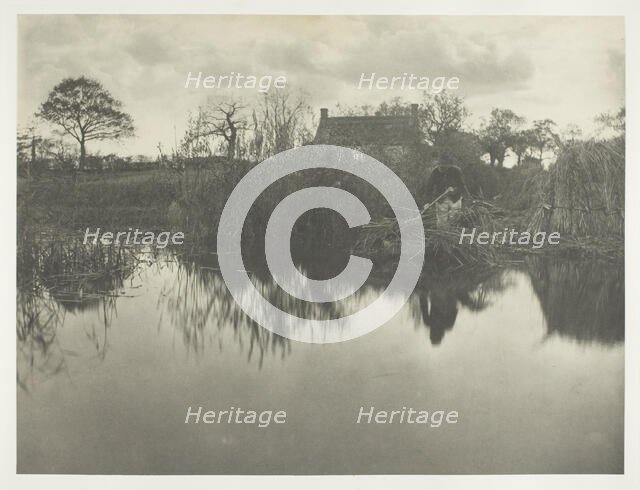 Quanting the Gladdon, 1886. Creator: Peter Henry Emerson.
