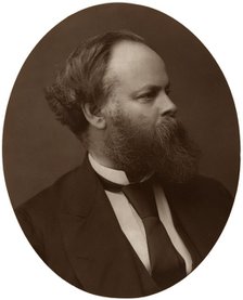 Samuel Plimsoll, Esq, MP, British Liberal politician and social reformer, 1876.Artist: Lock & Whitfield