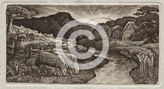The Sheep of His Pasture, 1828. Creator: Edward Calvert (British, 1799-1883).