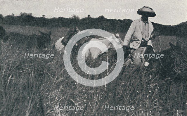 'Travel on the Pampas', 1916. Artist: Unknown.