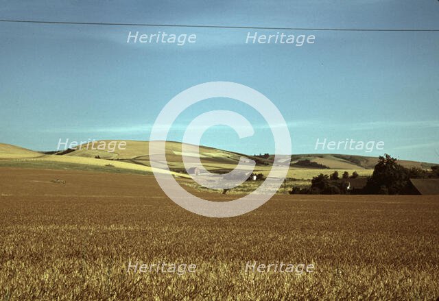 Wheat farm, Walla Walla, Washington, 1941. Creator: Russell Lee.