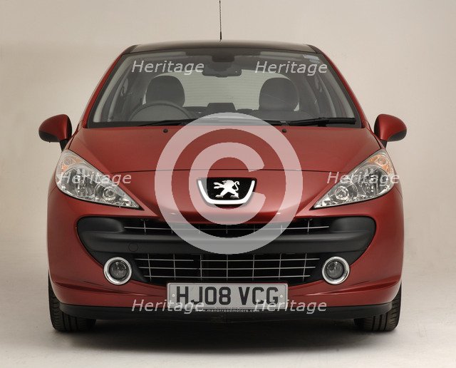 2008 Peugeot 207 Artist: Unknown.