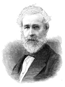 Sir Robert Rawlinson, C.B., 1883. Creator: Unknown.