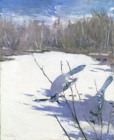 Blue Jays in Winter, study for book Concealing Coloration in the Animal Kingdom, ca. 1905-1909. Creator: Abbott Handerson Thayer.