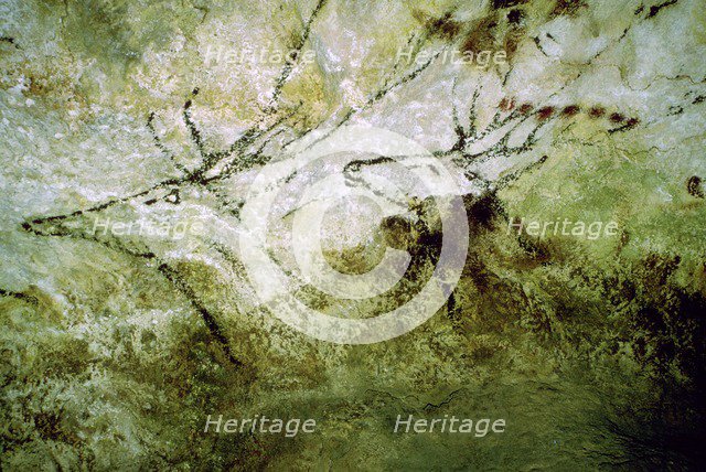 Cave-painting of 'swimming deer' from Lascaux, c15000 BC. Artist: Unknown