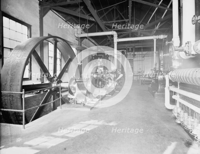 Engine room, Merchants' Despatch Transportation Co., between 1900 and 1905. Creator: Unknown.