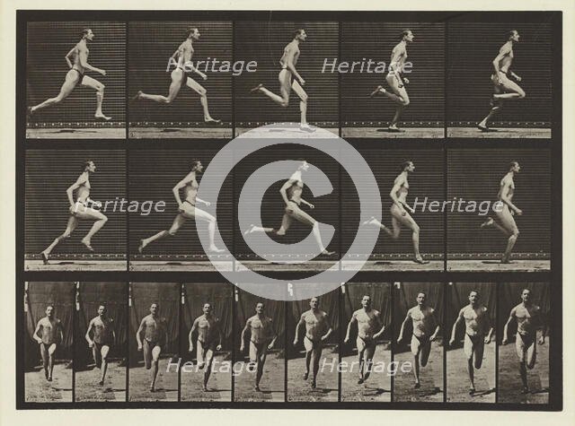 Plate #60, Animal Locomotion, no date [1884-1885]. Creator: Eadweard J Muybridge.