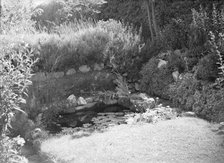 Pond in a garden, c1935. Creator: Kirk & Sons of Cowes.