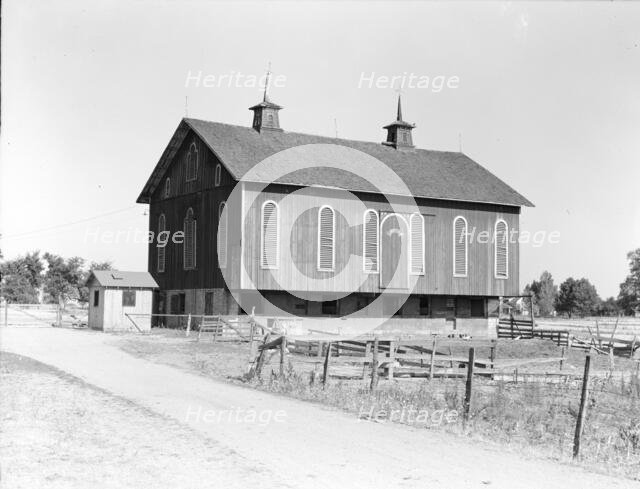 Farm near Dayton, Ohio, 1936. Creator: Dorothea Lange.