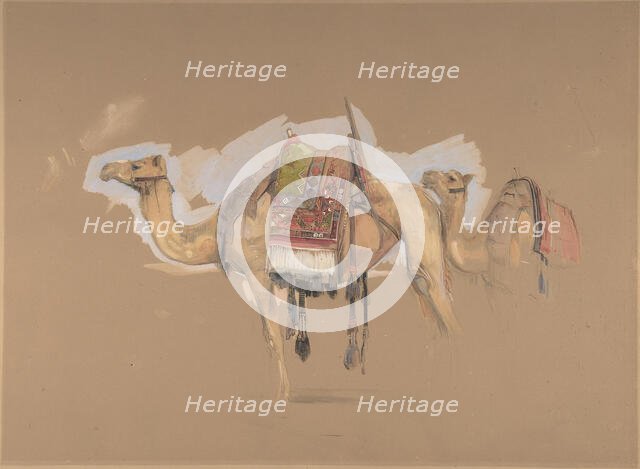 Two Camels, ca. 1843. Creator: John Frederick Lewis.