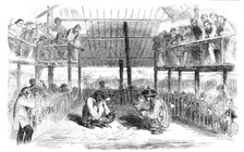 Cock-Fighting at Manilla, 1857. Creator: Unknown.