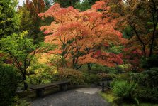 Japanese Gardens. Creator: Joshua Johnston.