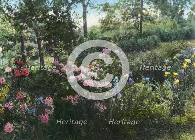 Dr. Charles William Richardson house, Chevy Chase, Washington, D.C., 1926. Creator: Frances Benjamin Johnston.