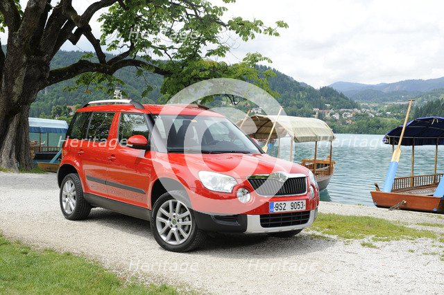 Skoda Yeti 2009. Artist: Simon Clay.