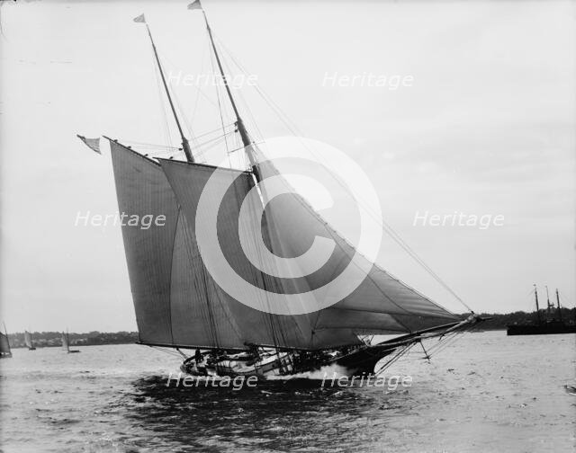 Estelle, between 1890 and 1900. Creator: John S Johnston.