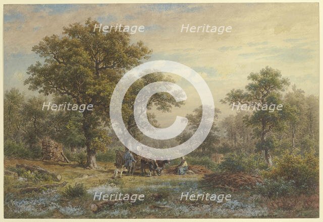 Clearing in the oak forest, mid-late 19th century. Creator: Jakob Maurer.