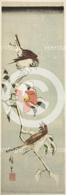 Sparrows and camellia in snow, 1840s. Creator: Ando Hiroshige.
