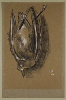 Gull, c1940. Creator: Marsden Hartley.