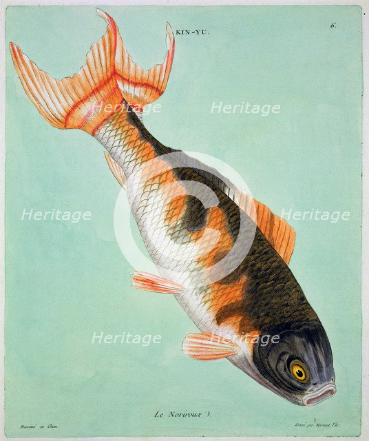 'Le Noriroux', 18th century. Artist: Francois  Nicholas Martinet