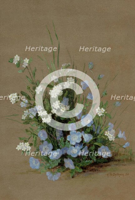 Wildflowers with forget-me-nots, 1893. Creator: Chittenden, Alice Brown (1859-1944).