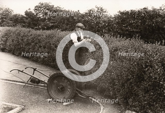 A gardener clips a privet hedge, Rowntree factory, York, Yorkshire, 1955. Artist: Unknown