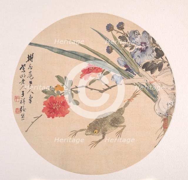 Flower and Toad. Creator: Zhang Xiong.