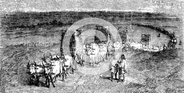 'Moldavian Transport Wagons', 1854 Creator: Unknown.