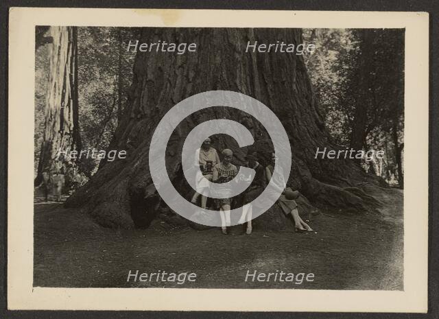 Group Portrait at Base of Tree, 1907-1943. Creator: Louis Fleckenstein.