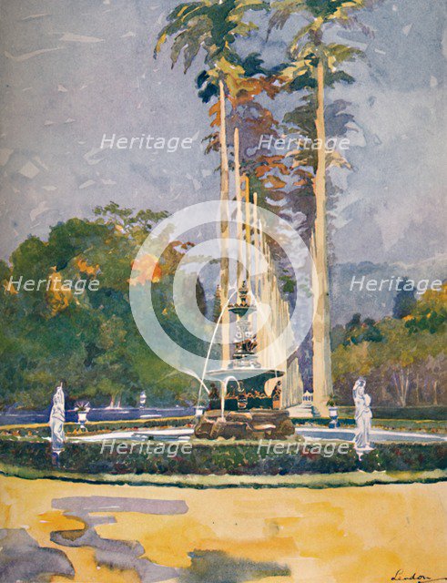'A portion of the Avenue of Royal Palms, Botanical Gardens', 1914. Artist: Unknown.