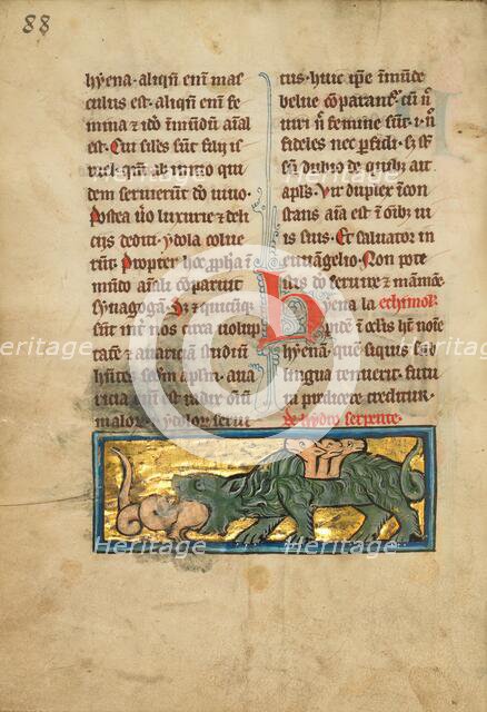 A Crocodile and a Hydrus; De Natura Avium; De Pastoribus et Ovibus, 1277 or after. Creator: Unknown.